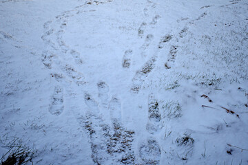 Human footprints on the clearing covered with the first snow
