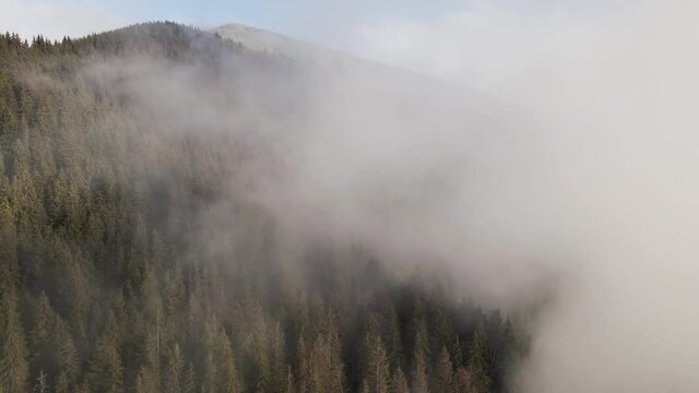 Drone flight above the mountains. Winter forest. Pine trees. Misty mountains. Mountains drone aerial footage. Epic view. Winter mountain view from above. Travel. Winter vacation. Treetops. Woodland