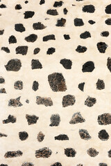 Muro construido con bloques de lava negra y mortero de estuco de cal para exteriores. Materiales de...