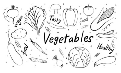 Vegetables doodle drawing collection