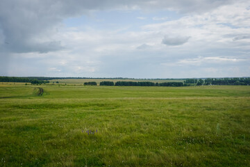 Beautiful green Russian field in the village in summer