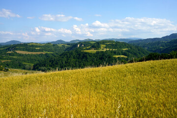 Rural landscape on the hills near Bologna, Emilia-Romagna.