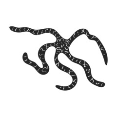 Sea starfish vector black icon. Vector illustration star sea on white background. Isolated black illustration icon of sea starfish .