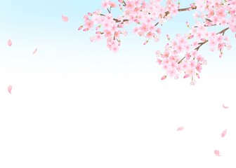 美しく華やかな桜の花と花びら舞い散る春の爽やか青空フレーム背景ベクター素材イラスト
