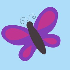 bright multi-colored butterfly.  insect with wings