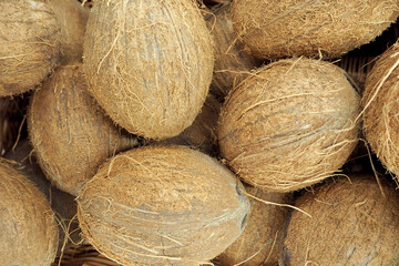 lots of brown coconuts. top view