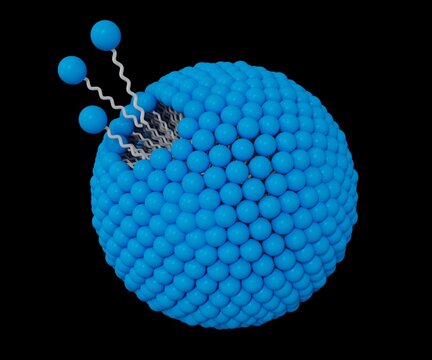 The groups of micelles detergent formation isolated in 3d