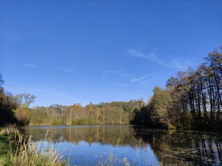 Fototapeta na wymiar lake in autumn