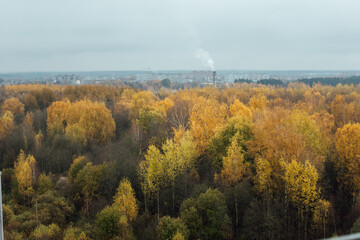 autumn forest from a height. a beautiful landscape of many trees with yellow foliage. a cloudy day in the forest. view from the observation deck with protective railings to the national park