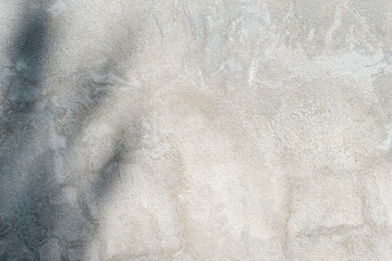 Obraz premium Gray cement wall texture with beautiful abstract sunlight shadows.