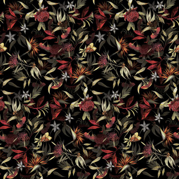 Seamless hand drawn exotic floral pattern with black background - Australian flora	
