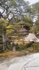 Japanese garden