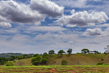 Fototapeta premium Landscape seen from a road in Goiás. GO-070