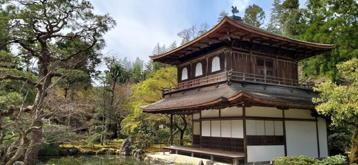 Japanese old garden