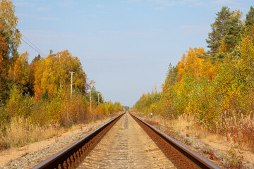 Fototapeta na wymiar railroad in autumn forest