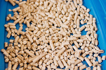 Plastic cat litter box filler. Pet care concept, close-up photo