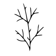 Simple plant decoration in doodle style. Simple decor for a festive Christmas and New Years. Vector illustration isolated on white background.