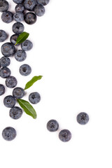 Fresh blueberries with bluberry leaves isolated on white background.