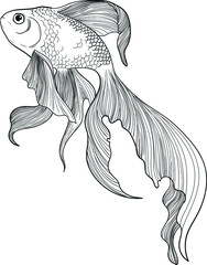 illustration of fish angelfish, animal, aquarium, aquatic, beautiful, black, creative, cute, decorative, design, drawing, drawn, fauna, fin, fish, fishing, flowing, goldfish, illustration, linear, mar