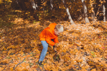 Boy plays with fallen leaves on a background of autumn landscape. Childhood, fall and nature concept.