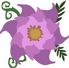 flower in purple tone,plant for beauty,vector drawing,isolate on a white background