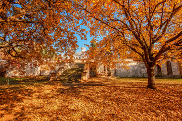 Beautiful old white castle surrounded by landscape park, fall season outdoor background