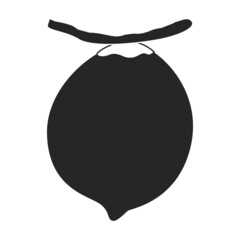 Coconut vector icon.Black vector icon isolated on white background coconut.