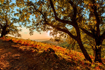 autumn landscape of Sierra of Gredos