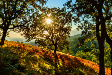 autumn landscape of Candeleda in Sierra of Gredos