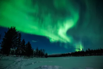 Foto op Plexiglas noorderlicht aurora borealis lapland nachtlandschap © Dimitri
