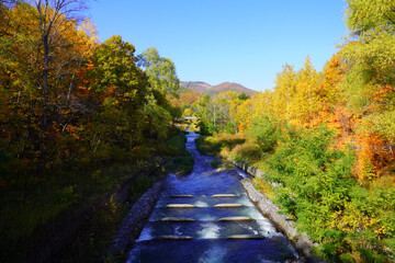 真駒内公園の紅葉　秋