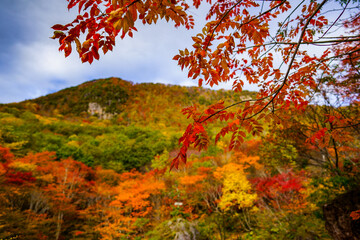 赤、黄、緑、オレンジとカラフルな色に覆われる紅葉の美しい紅葉山