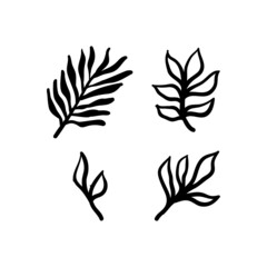 Little branches and floral doodles, hand drawn sketch drawings of plants, branches and leaves. Vector illustration.