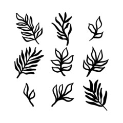 Little branches and floral doodles, hand drawn sketch drawings of plants, branches and leaves. Vector illustration.