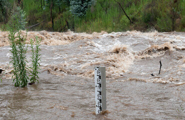 River in flood with muddy water hurtling down the river eroding the riverbanks meter stick showing water level