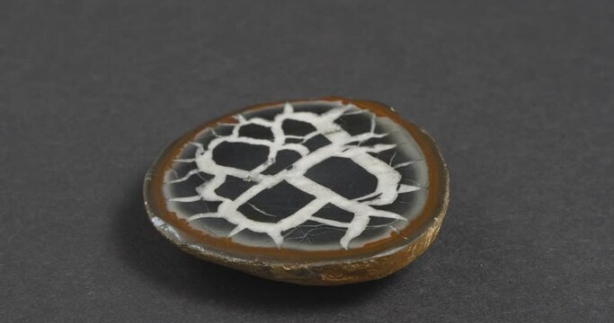 Septaria on a dark background. Turtle stone. Dragonstone.