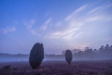 moon rise in the German heath