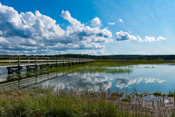 Salt Marsh in Cape Cod MA