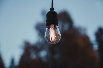 a light bulb on a tree background. the light bulb is on. incandescent lamp