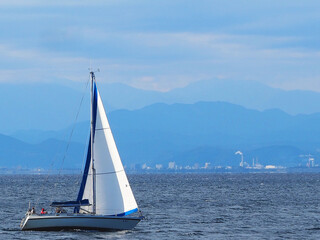 Fototapeta premium ヨット