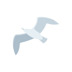 Albatross abstract symbol. Flying albatross vector illustration. Bottom view.