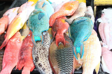 bunte Fische auf dem Markt