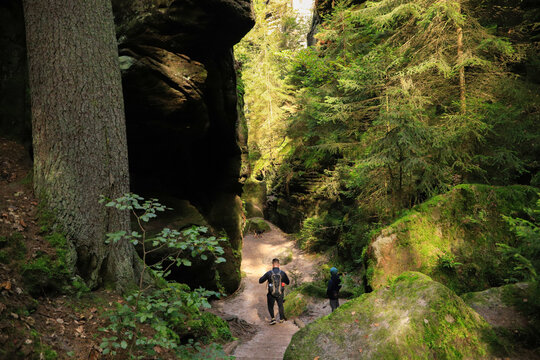 Hiking on hiking trail "Wehlener Grund" - the devil canyon (Teufelsschlucht), a romantic gorge around the town Wehlen in elbe sandstone mountains - Saxon Switzerland, Germany