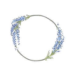 Round frame with lavender. Lavender sprigs watercolor illustration. Vector. Templates for photo, text, design, social media.
