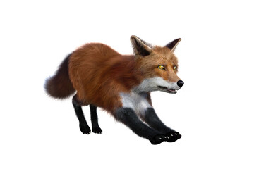 Red Fox stretching 3D render isolated on white background