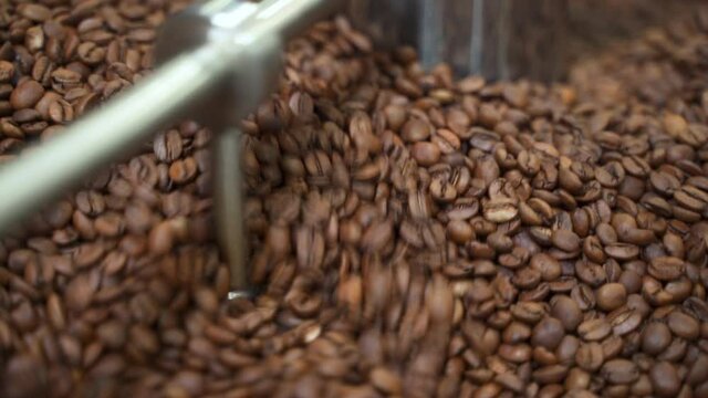 Closeup view of Arabica beans roasting and drying inside working equipment in modern factory spbas. Brown coffee seeds poured into metal container, rotate and roast during work hours in workshop