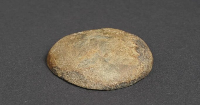 Septaria on a dark background. Turtle stone. Dragonstone.