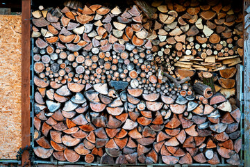 Colorful pile of cut and stacked tree strains.