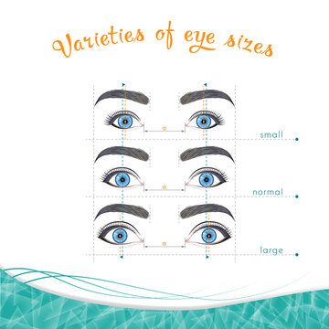 Eye sizes on a white background