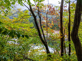 Obraz premium Lake surrounded by deciduous trees in early autumn on a cloudy day (Zao, Yamagata, Japan)
